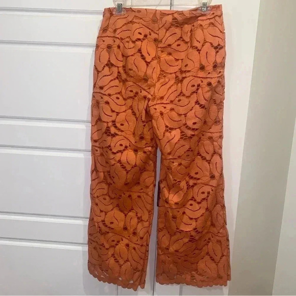 VINTAGE Sexy Anthropologie Dolly Lace Pants Size 2 - Picture 4 of 12